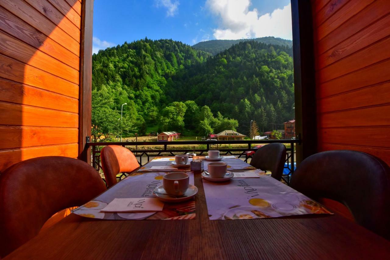 Hotel Vadi