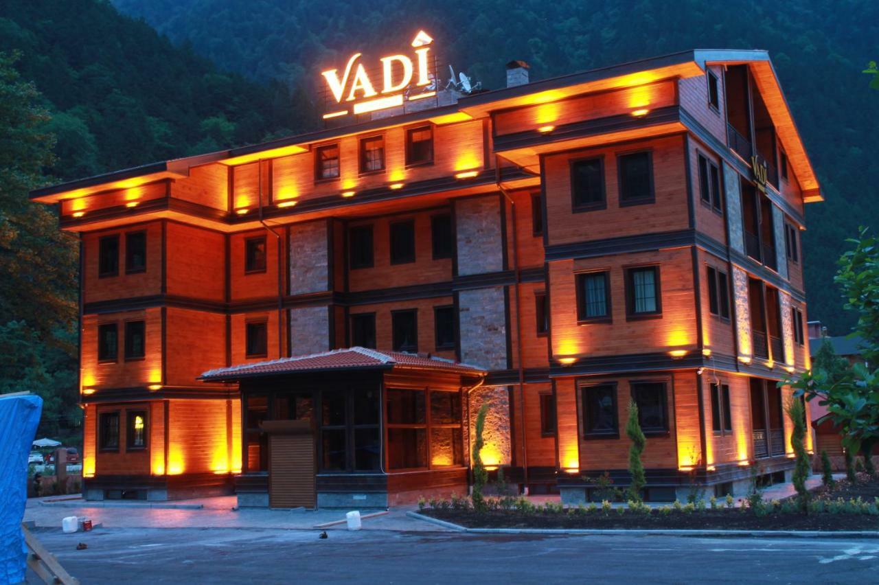 Hotel Vadi